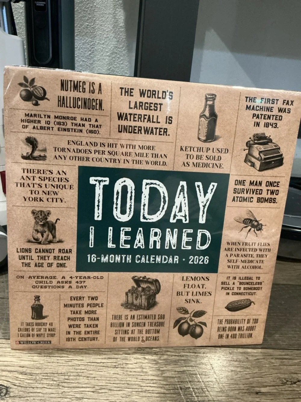 New 3 pack 2026 calendars Today I learned Moon Magic You Don’t Got This
